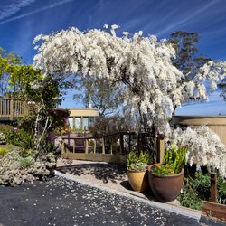 Tamalpais Property Management