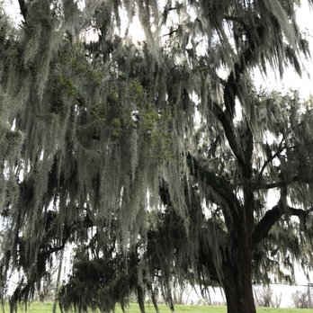 Gray Line New Orleans - Tours Near Me - New Orleans, Louisiana Gray Line New Orleans - Tours Near Me - New Orleans, Louisiana