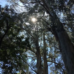 Casa de Serralves - El parque.