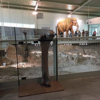 Waco Mammoth National Monument - Museums Near Me - Waco, Texas