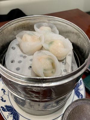 Cafe Evergreen by null