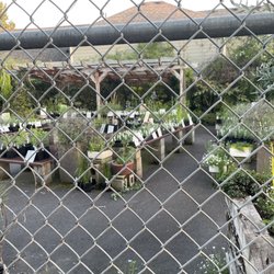 Xera Plants Shop