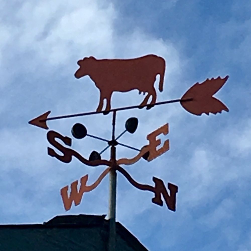 GODFREY NURSERY 31 Photos & 20 Reviews 8834 Shaw Sq SE, Aumsville