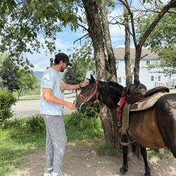 Mountain Trail Rides Horseback Riding & More