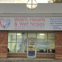 wet noses mobile grooming prices