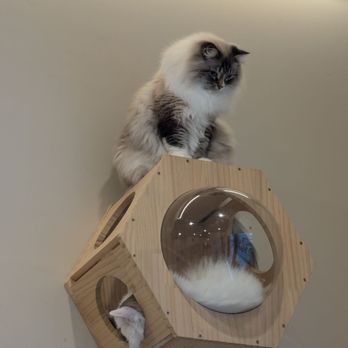 Petpls - Pet Stores Near Me - Richmond, British Columbia Petpls - Pet Stores Near Me - Richmond, British Columbia