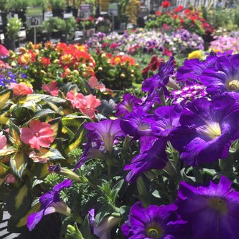 Walmart Garden Center - Nurseries & Gardening Near Me - Apple Valley, California Walmart Garden Center - Nurseries & Gardening Near Me - Apple Valley, California