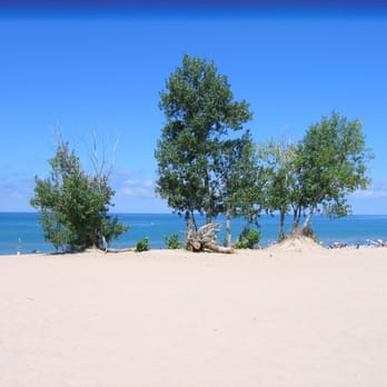 Warren Dunes State Park - Lakeshore trees. - Parks Near Me - Sawyer, Michigan Warren Dunes State Park - Lakeshore trees. - Parks Near Me - Sawyer, Michigan