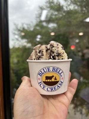 Blue Bell Creameries by null