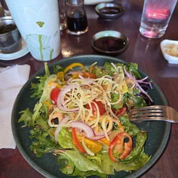 Kaido Sushi - Asian salad - Sushi Bars Near Me - Arlington Heights, Illinois Kaido Sushi - Asian salad - Sushi Bars Near Me - Arlington Heights, Illinois