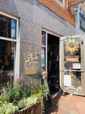 The Coven's Cottage by null