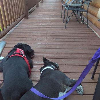 Orchid Cellar Meadery And Winery - #DogFriendly outside - Wine Tasting Room Near Me - Middletown, Maryland Orchid Cellar Meadery And Winery - #DogFriendly outside - Wine Tasting Room Near Me - Middletown, Maryland