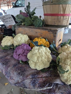 West Allis Farmers Market by null