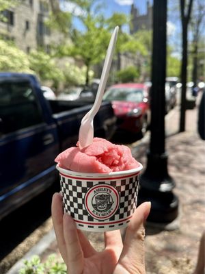 Ashley's Ice Cream by null
