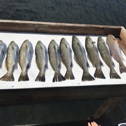 Nature Coast Inshore Charters - Nice catch