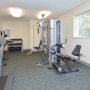 Willow Run Apartments
