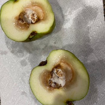 Apna Bazar - Guava - International Grocery Near Me - Bellevue, Washington