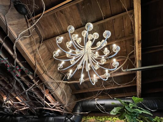 The Rabbit Hole by null