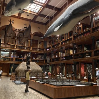 Bishop Museum - Museums Near Me - Honolulu, Hawaii Bishop Museum - Museums Near Me - Honolulu, Hawaii