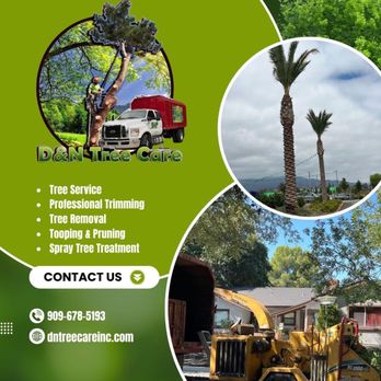 D&N Tree Care - Tree Services Near Me D&N Tree Care - Tree Services Near Me