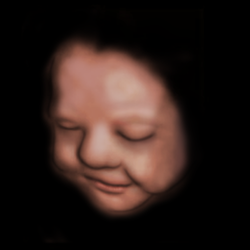The Baby Connection