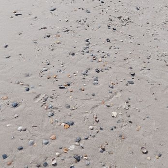 Gulf Shores Beach - Beaches Near Me - Gulf Shores, Alabama Gulf Shores Beach - Beaches Near Me - Gulf Shores, Alabama
