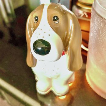 Walmart Supercenter - "No, it was going to be a hassle. I glued him and he's fine." Regarding return of broken dog! 07/11/26 - Grocery Near Me - Teterboro, New Jersey Walmart Supercenter - "No, it was going to be a hassle. I glued him and he's fine." Regarding return of broken dog! 07/11/26 - Grocery Near Me - Teterboro, New Jersey