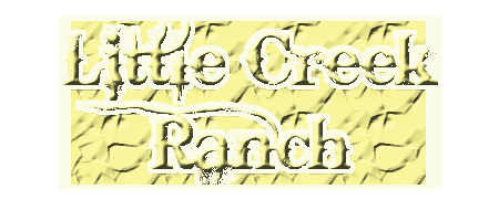 Little Creek Ranch - equestrian in Laceys Spring, AL