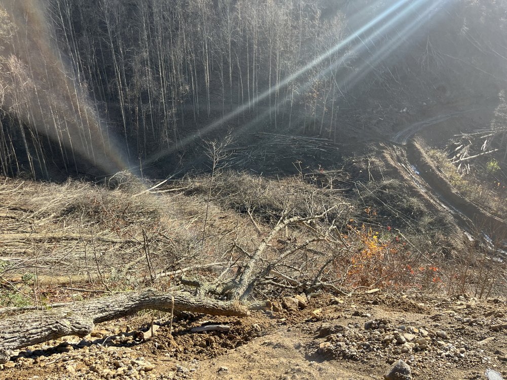 RJK - tree service in Lake, WV