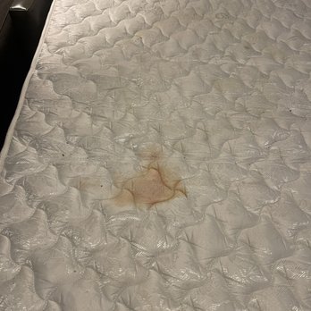 Oxford Suites Spokane - Pull out couch. - Hotels Near Me - Spokane, Washington