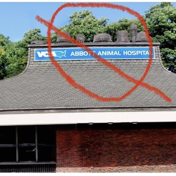 VCA Abbott Animal Hospital - Veterinarians Near Me - Worcester, Massachusetts VCA Abbott Animal Hospital - Veterinarians Near Me - Worcester, Massachusetts