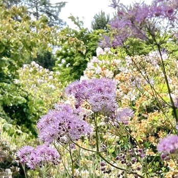 Connie Hansen Garden Conservancy - Botanical Gardens Near Me - Lincoln City, Oregon