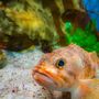 Photo of Woods Hole Science Aquarium