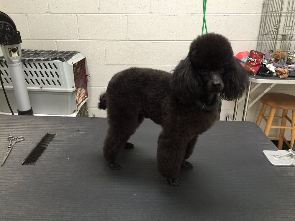 THE TRIM SHOP Updated September 2024 13 Reviews 2120 Walnut Lake