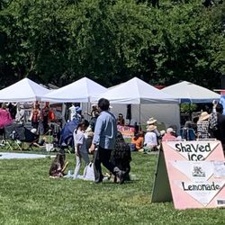 Julliard Park - Japanese Festival 2026