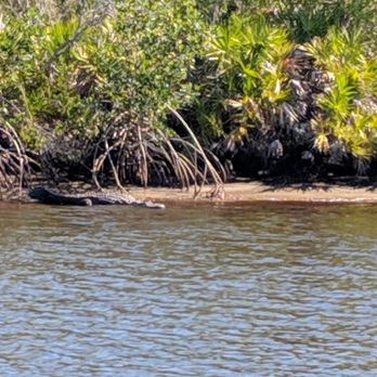 Wilderness Boat Tours - Boat Tours Near Me Wilderness Boat Tours - Boat Tours Near Me