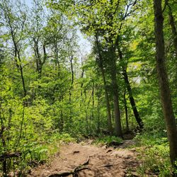 Kelso Conservation Area