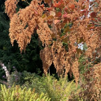 Washington Park Arboretum - Parks Near Me - Seattle, Washington Washington Park Arboretum - Parks Near Me - Seattle, Washington