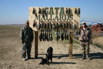 Social spots from Gata Mallards