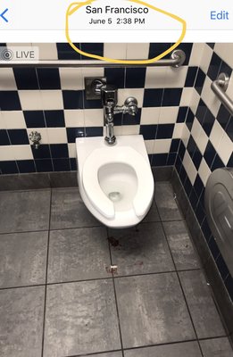 Greyhound Shop by null