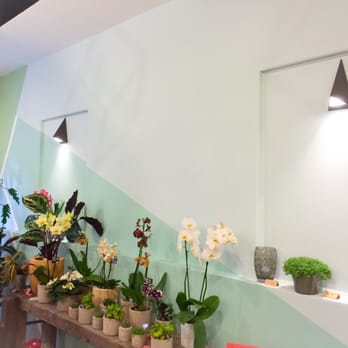 Fleurs de Mars - Florists Near Me - Bordeaux, 33