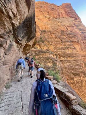 Angels Landing by null