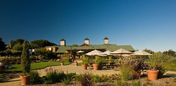 Bouchaine Vineyards by null