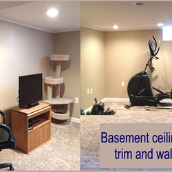 Oneil Brothers Professional Painting
