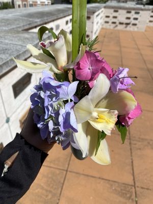 Piedmont Funeral Services and Mountain View Cemetery by null