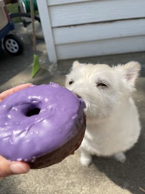 Gurnee Donuts by null