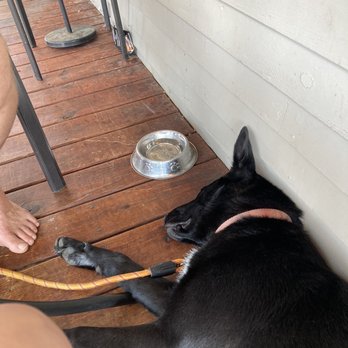 Wood Boat Brewery - Doggies allowed on porch & are served nice bowls of ice water, even before the humans put in their drink order. - Venues & Event Spaces Near Me - Clayton, New York Wood Boat Brewery - Doggies allowed on porch & are served nice bowls of ice water, even before the humans put in their drink order. - Venues & Event Spaces Near Me - Clayton, New York