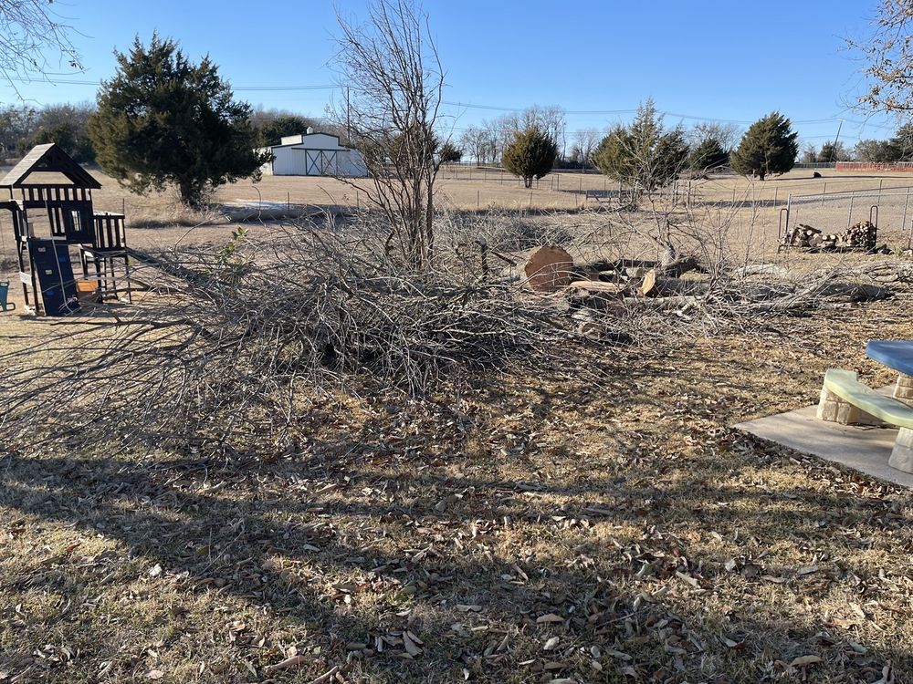 TEXAS TREES AND MORE Updated March 2024 Waxahachie, Texas Tree Services Phone Number Yelp