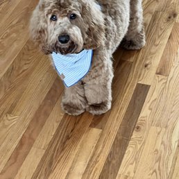 Hudson with his amazing new cut!!!