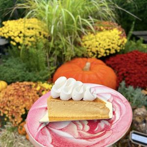 HEN & HEIFER - 173 Photos & 93 Reviews - 23 Water St, Guilford